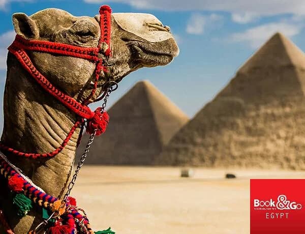 Discover Egypt