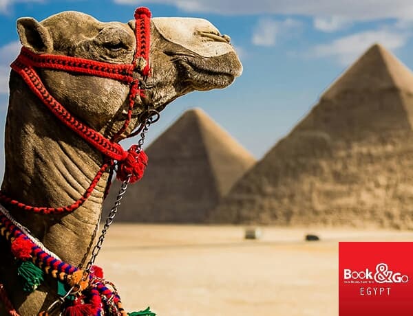 Pyramids and Cairo Sightseeing – Gateway to Ancient Mysteries