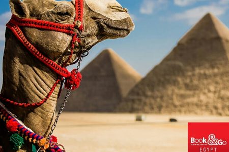 Enchanting Egypt Tour Cairo & Pyramids & Nile Cruise <br> (4N) (Domestic Flights) – 5⭐