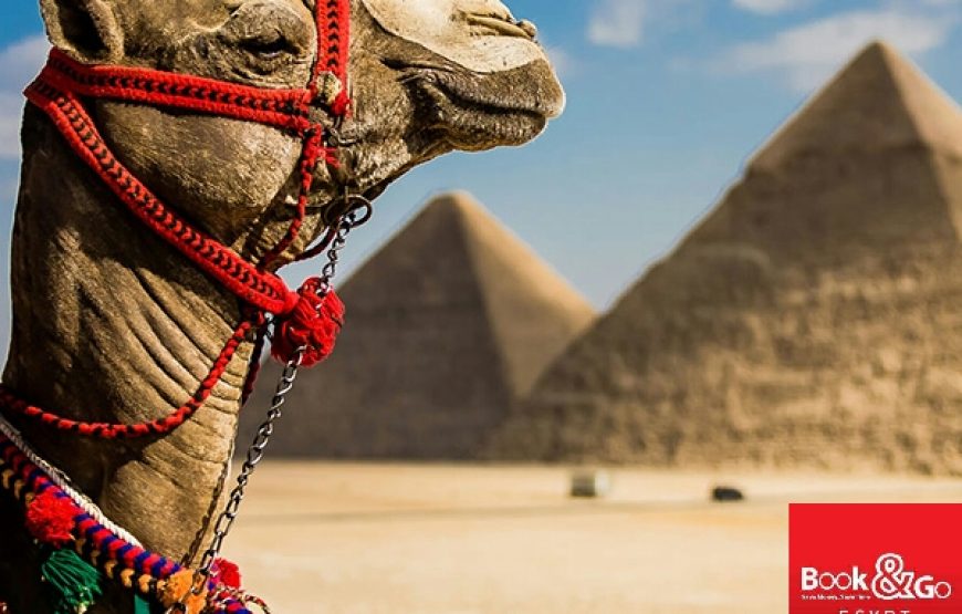 Enchanting Egypt Tour Cairo & Pyramids & Nile Cruise <br> (4N) (Domestic Flights) – 5⭐